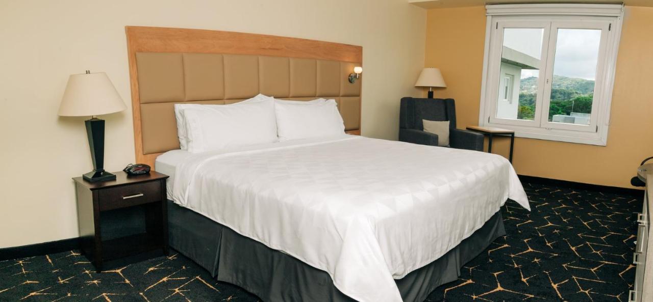 Holiday Inn San Salvador By Ihg Екстериор снимка